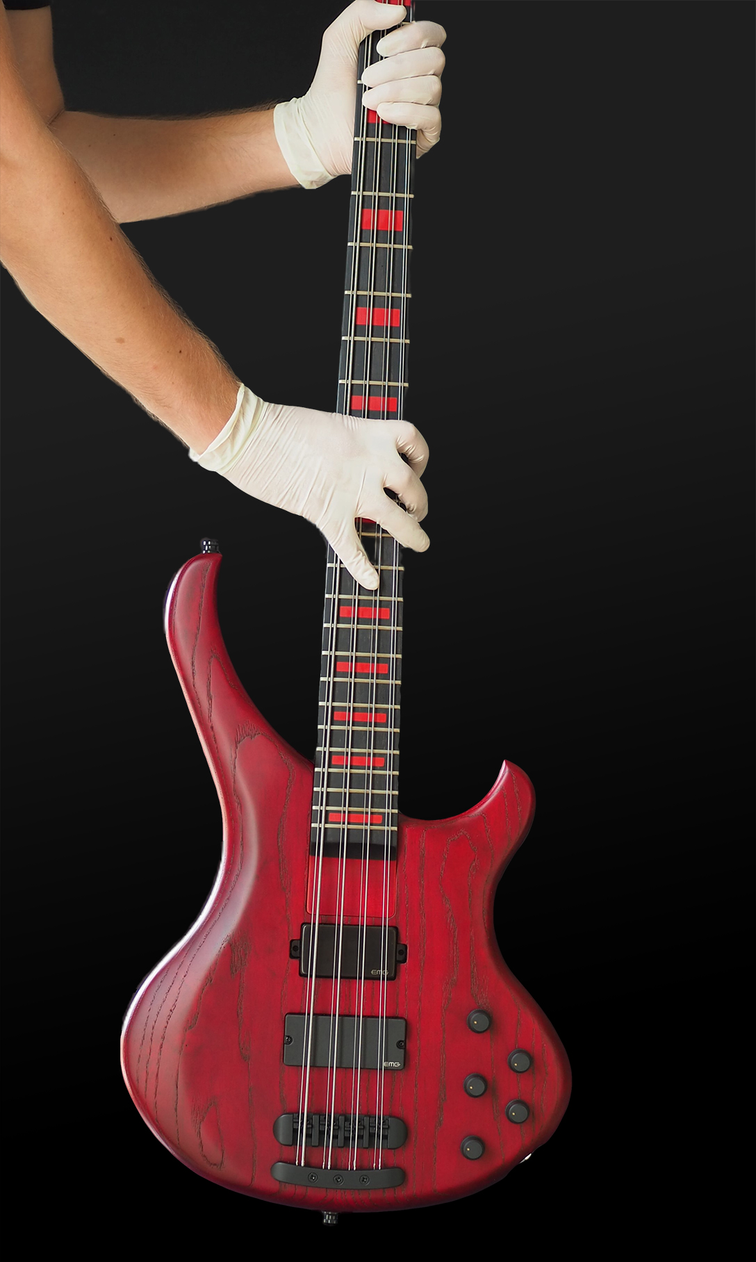 Picture of the bass