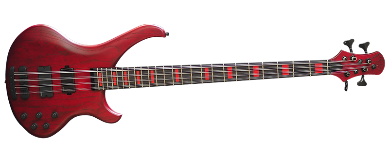 Picture of the 8-string bass guitar.